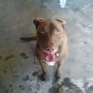 Meet your Posher, Dana